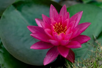 _DSC0131