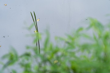 _DSC0227