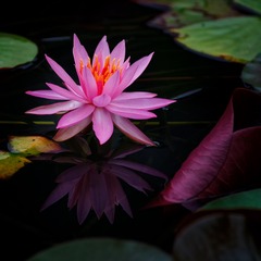 _DSC0152_DxO