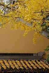 _DSC3596_DxO