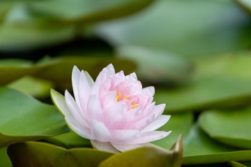 _DSC5302