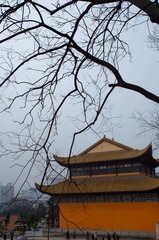 _DSC1911_DxO