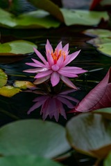 _DSC0150