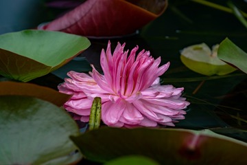 _DSC0156