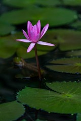 _DSC0079