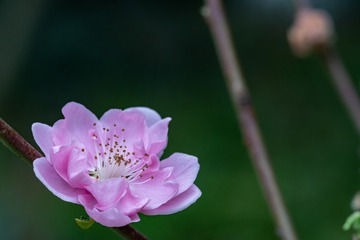 _DSC7763