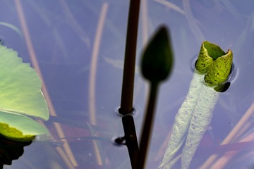 _DSC0129