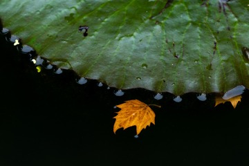 _DSC5019