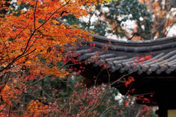_DSC3507_DxO