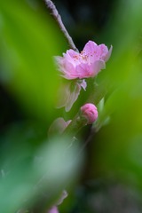 _DSC7761