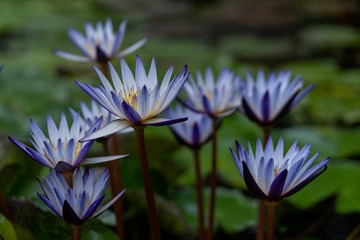 _DSC5003