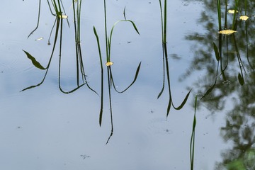 _DSC0233