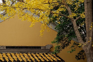 _DSC3593_DxO