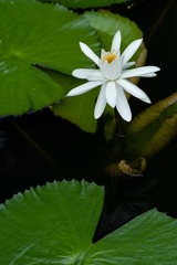 _DSC5015