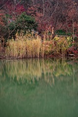 _DSC3649_DxO
