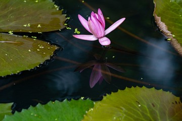 _DSC0098
