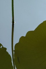 _DSC6203_DxO_DxO
