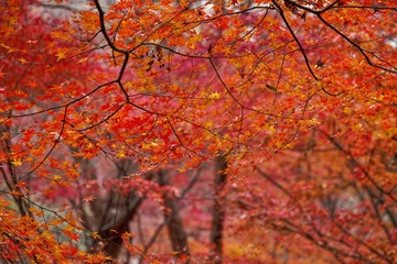 _DSC3851_DxO