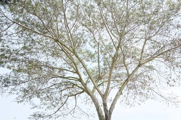 _DSC3861_DxO