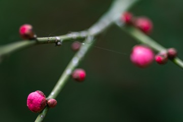 _DSC7799