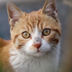 _DSC6458_DxO
