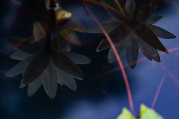 _DSC0177