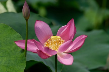 _DSC1316_DxO