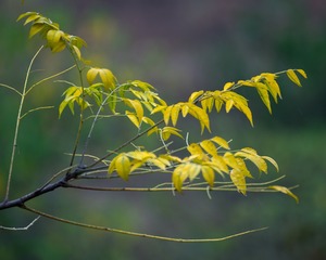 _DSC1813
