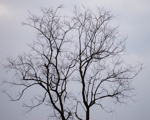 _DSC1837