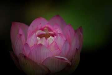 _DSC3248-编辑
