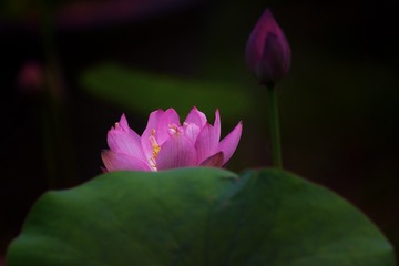 _DSC3244-编辑