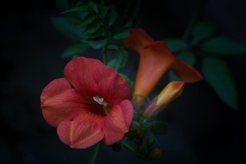 _DSC3266-编辑