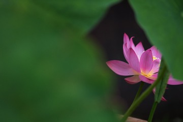 _DSC3275-编辑