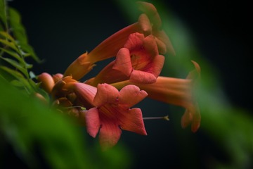 _DSC3261-编辑