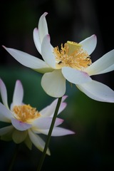 _DSC3293-编辑