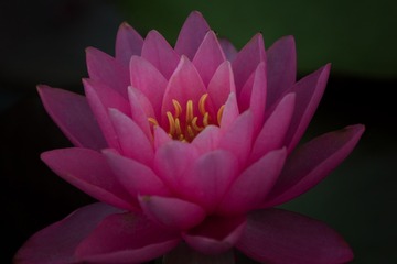 _DSC3337-编辑