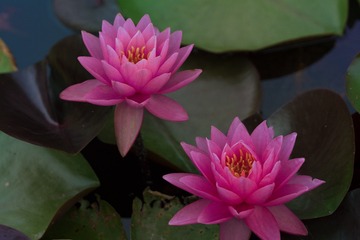 _DSC3335-编辑
