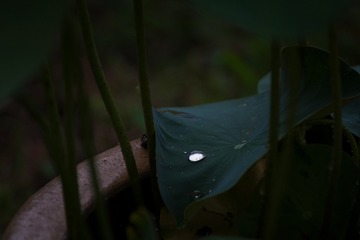 _DSC3295-编辑