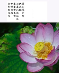 _P2M0548