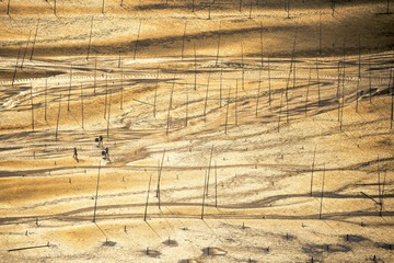 _D1A7450-2_resize