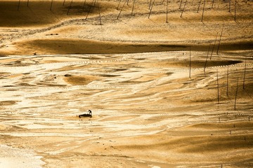 _D1A7445-2_resize