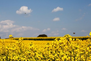 _D1A4775-1_resize