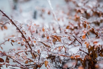 DSCF5534-2
