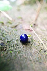 IMGP9917_