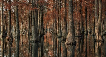 DSC_8653-Pano 拷贝