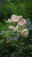 84DB9842-CB21-4589-A93C-521DD66B8D5B/L0/001