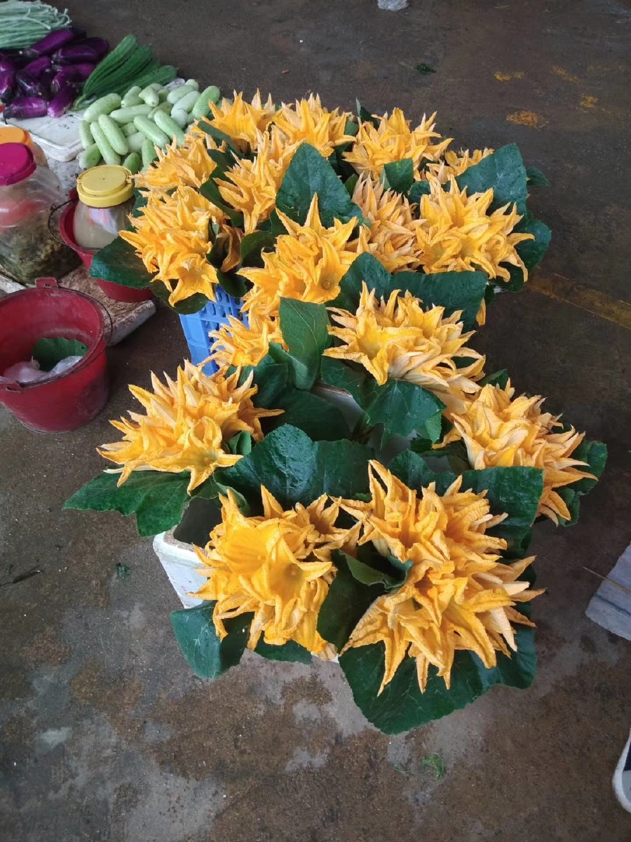 自家种的瓜花花大味道甜好吃不腻打汤吵着吃都行