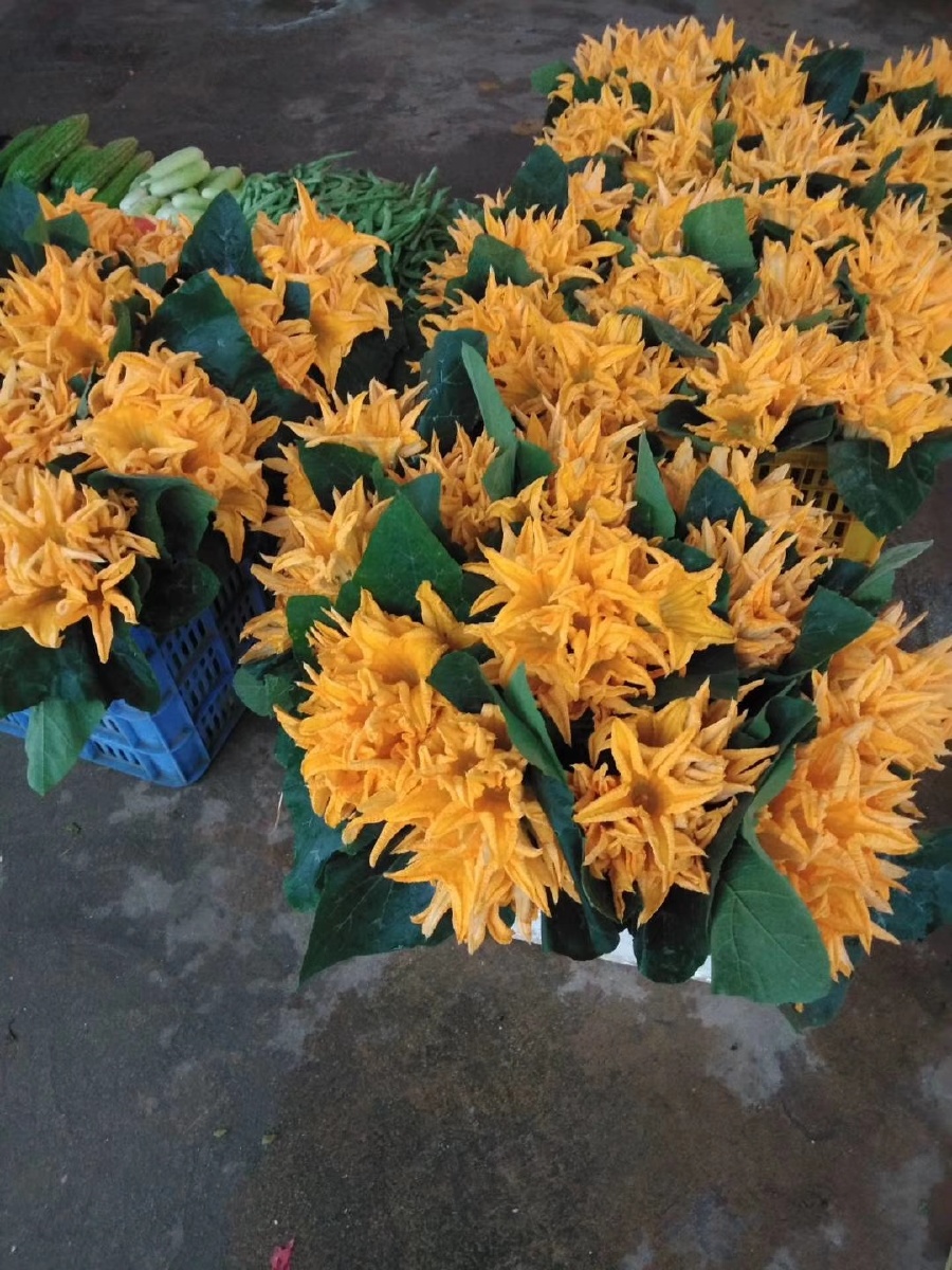 自家种的瓜花花大味道甜好吃不腻打汤吵着吃都行