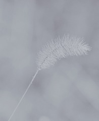 1316775