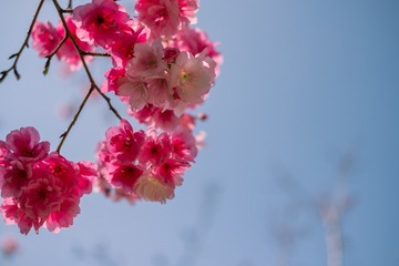 9373